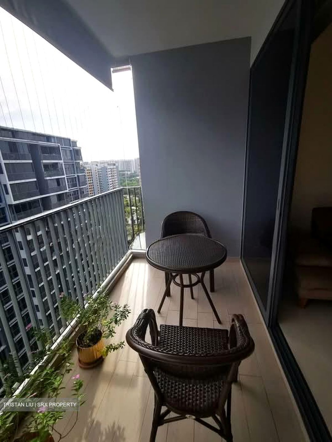 Bellewaters (D19), Condominium #593111241